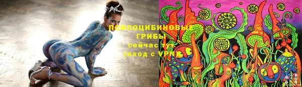 стафф Верхний Тагил